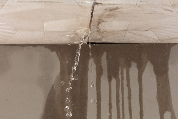 Professional Water Damage Repair technician working in USA